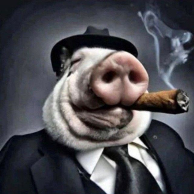 Esteban_Gamer25's tweet photo. @MrGreenBeanlol Maybe u just need to calm down, take a break and work on that future that you want so much, only you can create that destiny that you long for, the life's a wheel, that will always spin, cheer up and don't give up xd https://t.co/6SQSrSVd3N