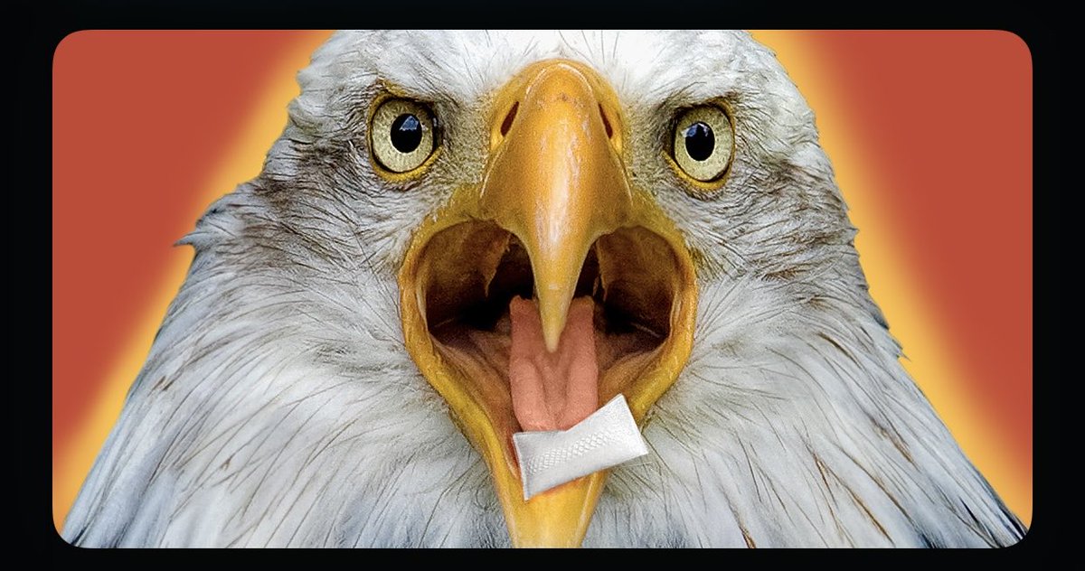 @KassMedefer tweet media