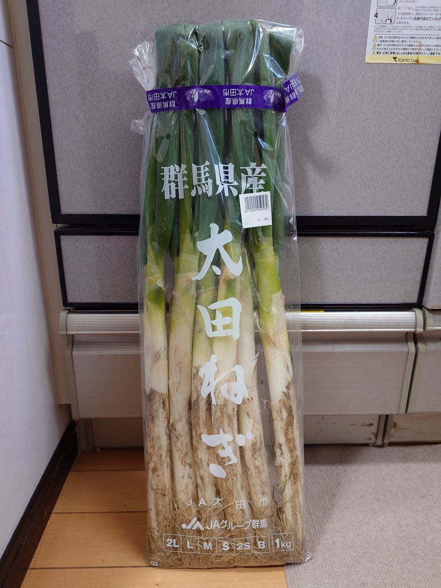 ricp*玉葱苗→プロフ見てください✤✼ トップゴールド525[玉葱] - e-種や｜国内最大級の野菜種・花種・苗