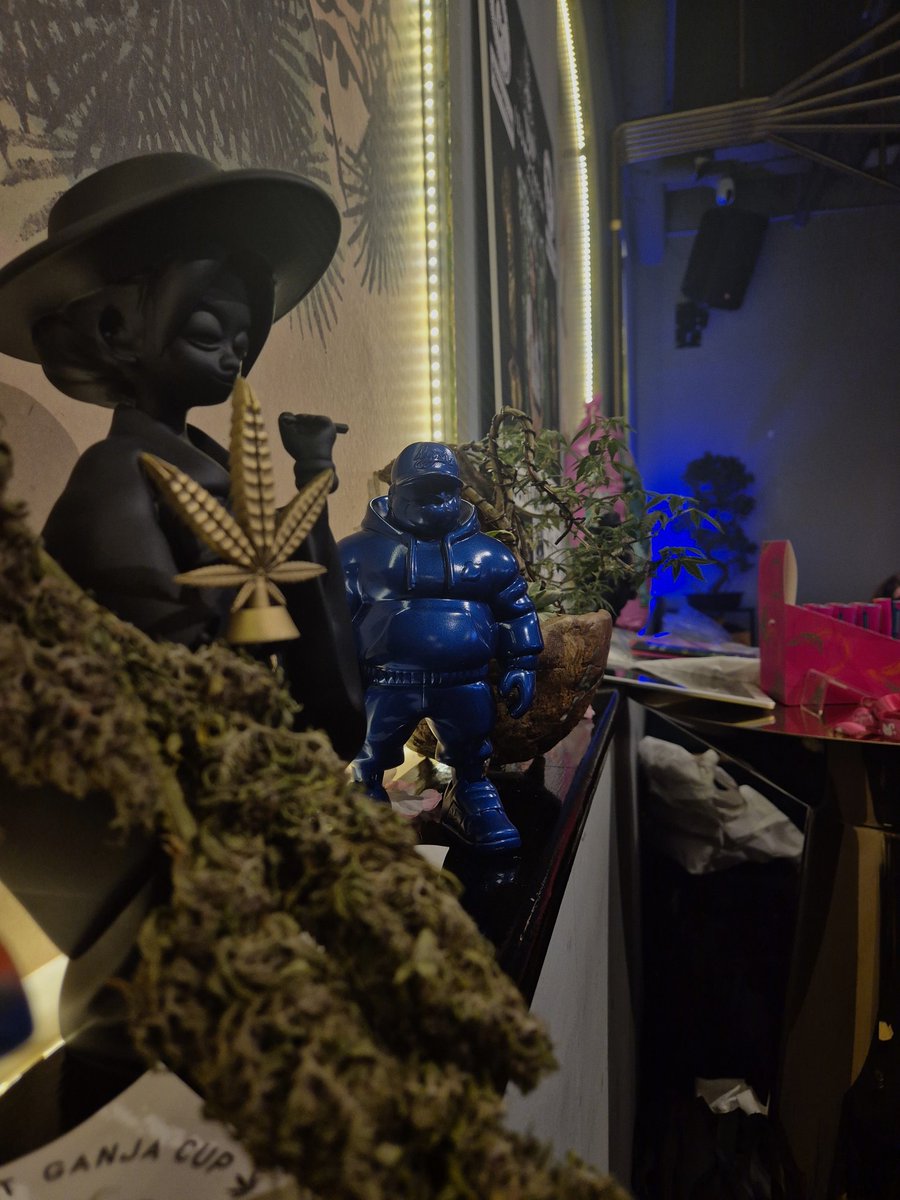 Kei | 大麻文化を作る大麻盆栽家 tweet media
