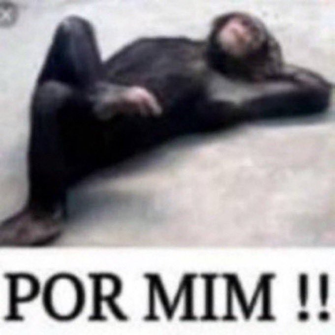 beomgymoaz's tweet photo. to desempregada e reajo assim quando me mandam vaga de emprego em supermercado https://t.co/5j7dxgoxnR