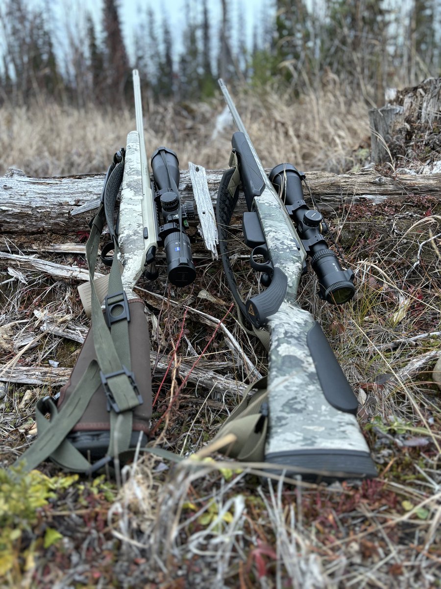bcsteelheader's tweet image. Couple beeee-utes right there. #tikka #moosehunting #moose #BritishColumbia #canada #notthe51ststate