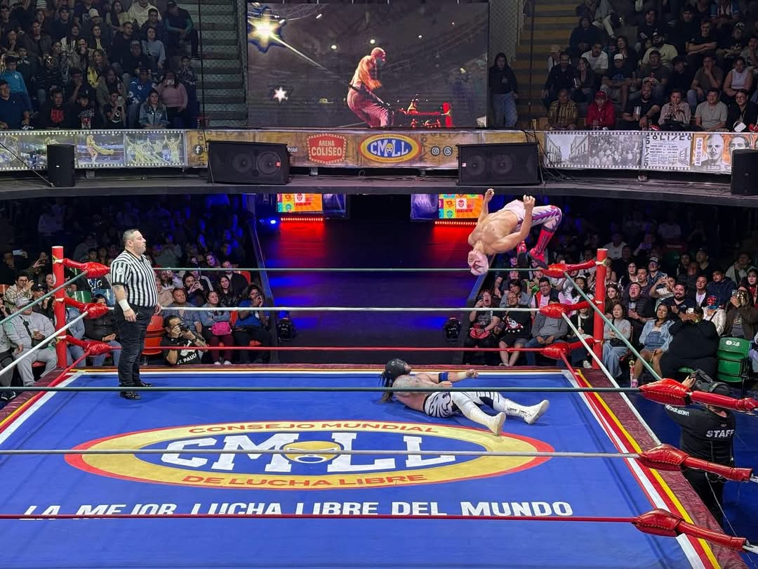 LaTijeraLucha's tweet photo. En el #TorneoCibernetico por la #CopaHerederos2025, #BluePantherJr, #HijoDelVillanoII, #BrillanteJr, #FelinoJr, #ValienteJr, #ElCobarde, #HijoDelPantera, #HijoDeStukaJr,#OroJr y #EspantoJr se disputaron la oportunidad de ser los finalistas en una elimatoria que dejó calientita... https://t.co/l4hHZMDN2U