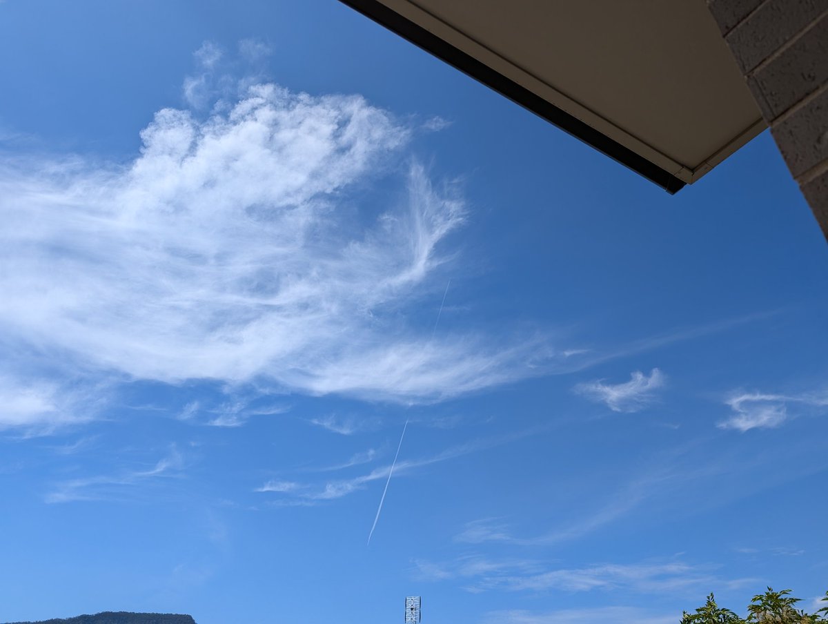MissyK_05's tweet image. Where's our ADF to stop the bioterrorism going on above us all day and night? 
We are being governed by abusers and impostors. We have a Private Corporation impersonating our Commonwealth government illegally and unlawfully.
#MagnaCarta #Bioterrorism #GeoEngineering