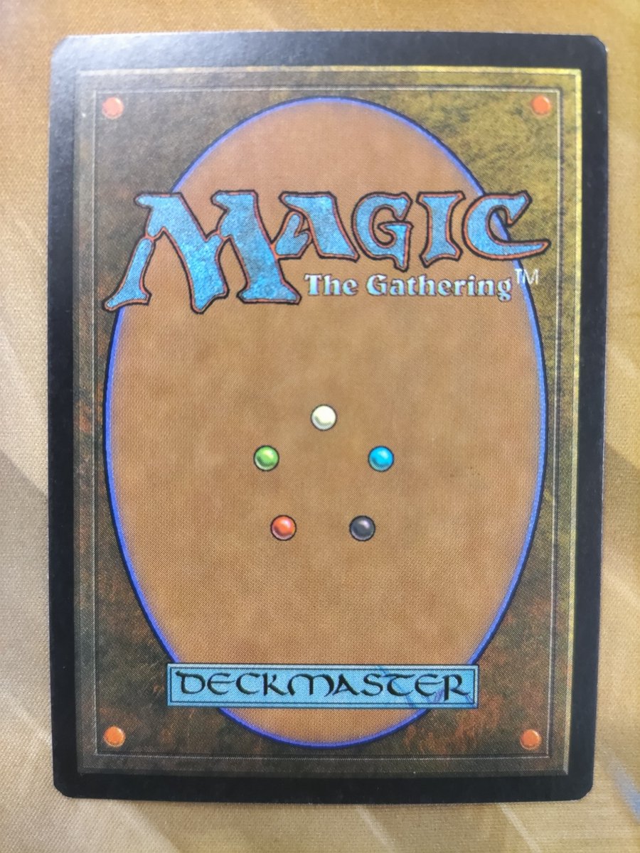 MTG 富士山　山APEC