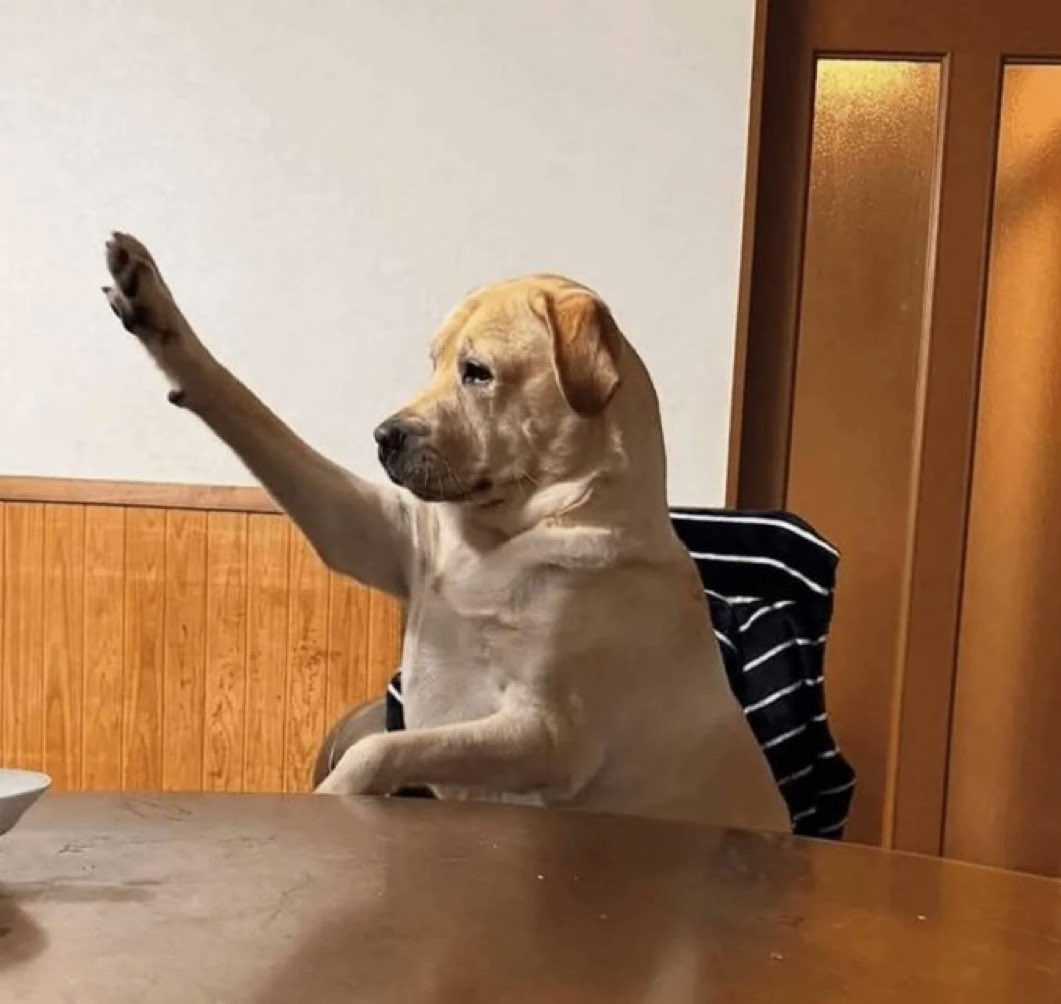 Según los zurdos, este es un perro nazi. 

No lo vayan a compartir porque pueden hacerlo nota y portada de periódicos, repito, no lo vayan a compartir.