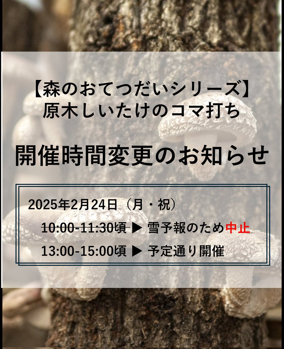 【森のおてつだいシリーズ】原木しいたけのコマ打ちの開催時間が変更になりました。ご参加予定の皆さまはご確認をお願いいたします。

開催日時｜2月24日(月・祝)
 10:00 - 11:30頃　▶　雪予報があるため午前のみ中止
 13:00 - 15:00頃　▶　午後は予定通り実施予定