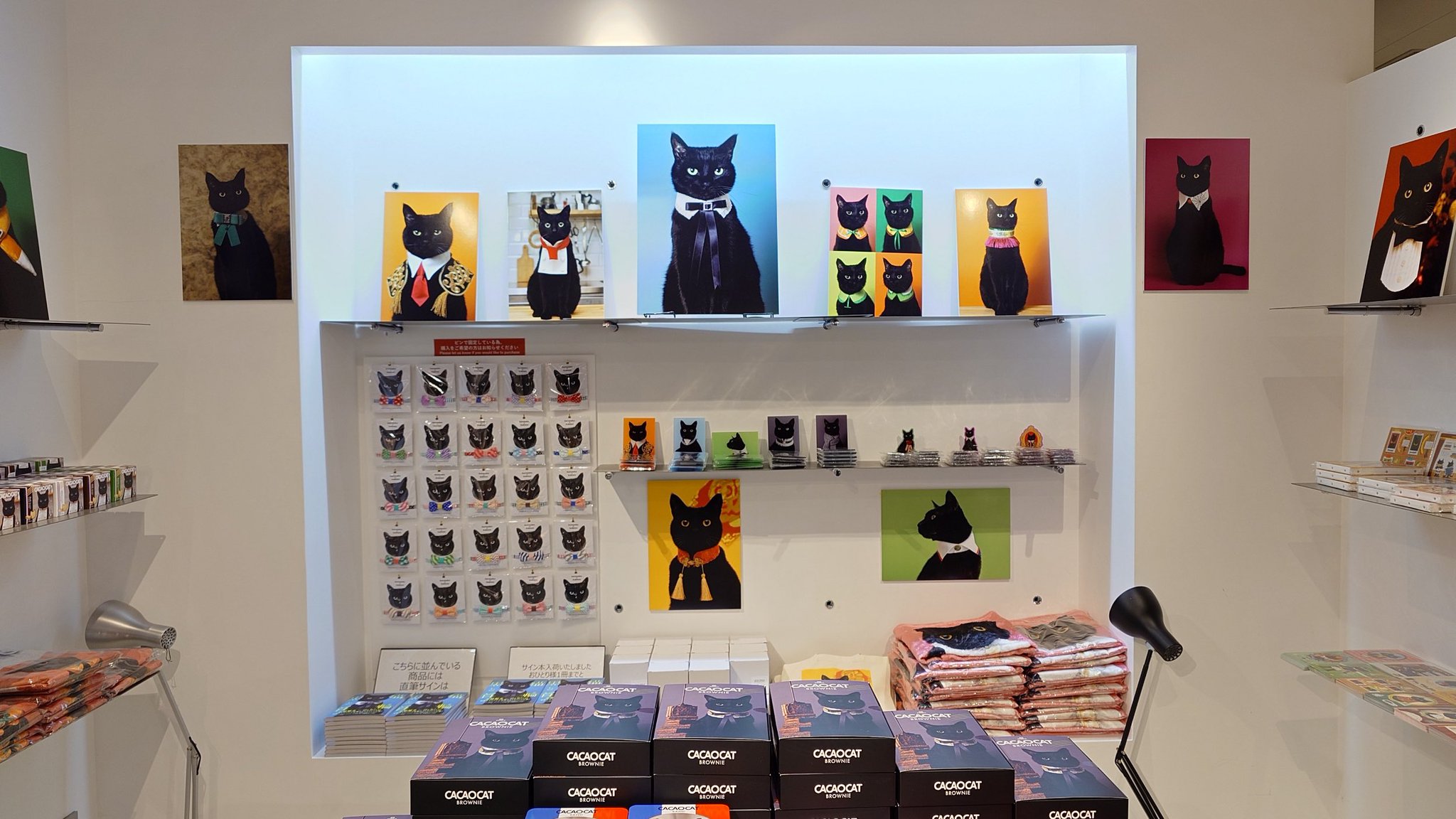 木野聡子 | Akiko Kino on X: 