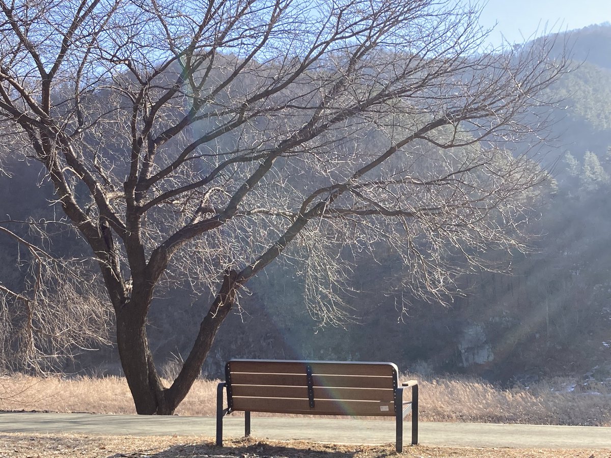 chair4rest's tweet photo. 볕이 들자
겨울도 잠시 앉아 쉬고 있다 https://t.co/mMxKHJrdG2