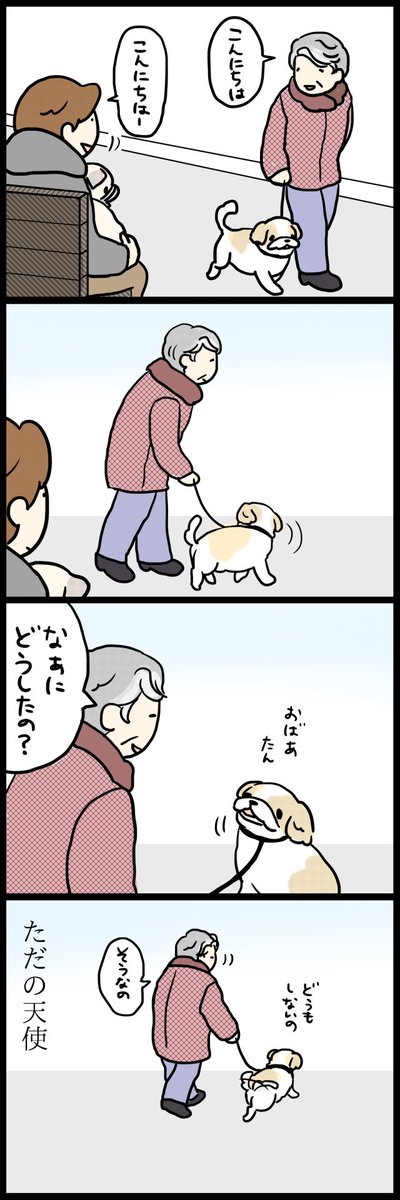 犬かわいい 