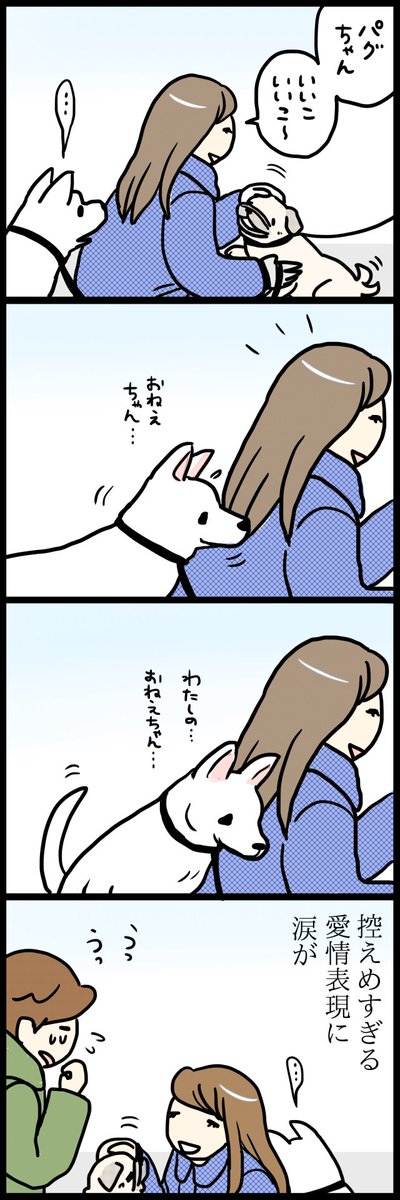 犬かわいい 