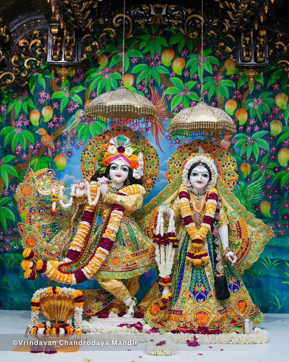 Today's Sringar Darshan of Sri Radha Vrindavanchandra, 23 Feb 2025