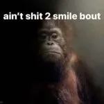 danielxvv updates tweet media