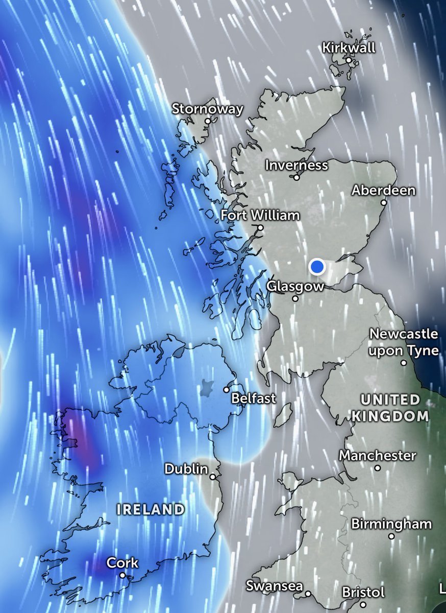 ❤️Windy Wilson❤️ tweet media