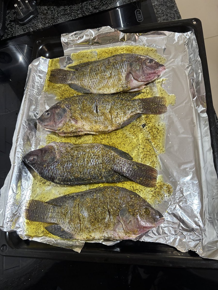 Jebba11's tweet photo. 🎣 🐟 https://t.co/YRgZjzkuYY