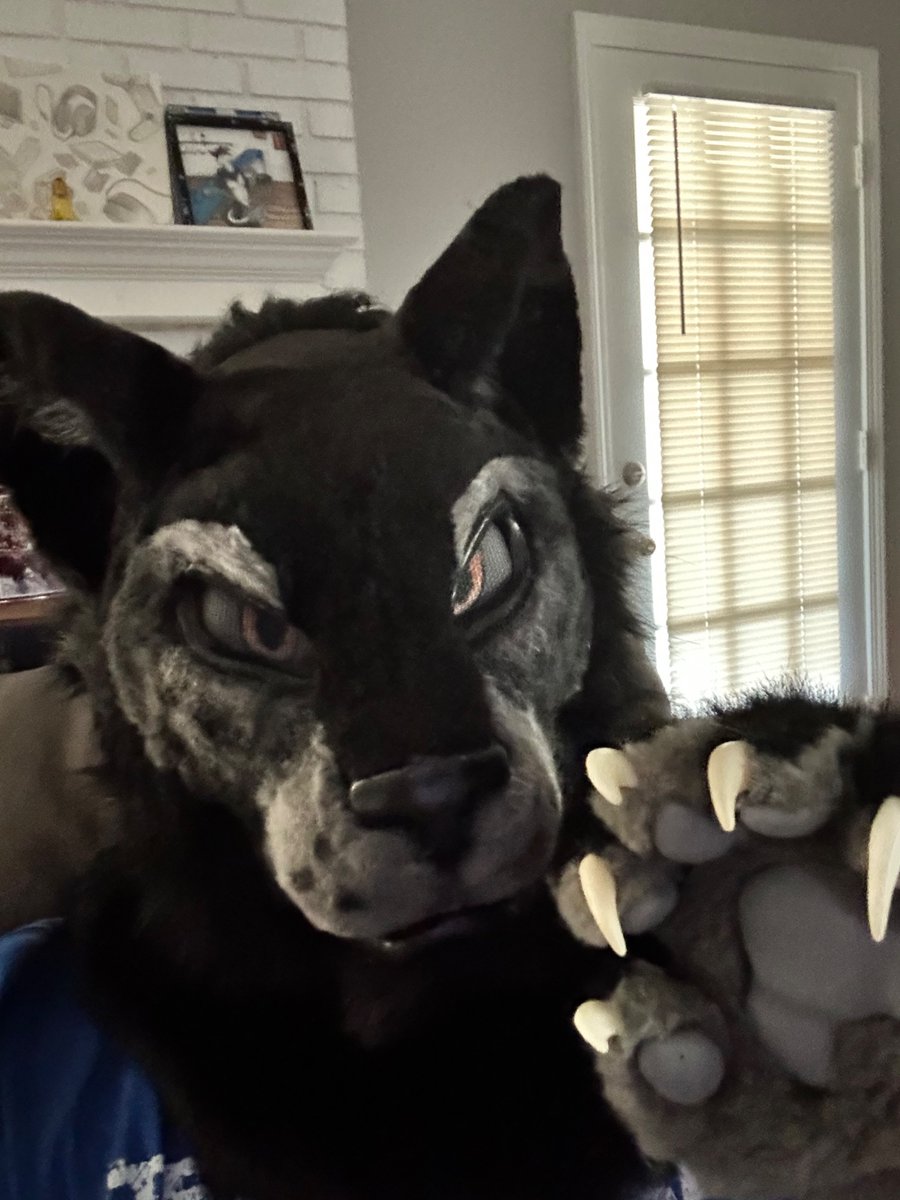 Bugamashoo's tweet image. meow