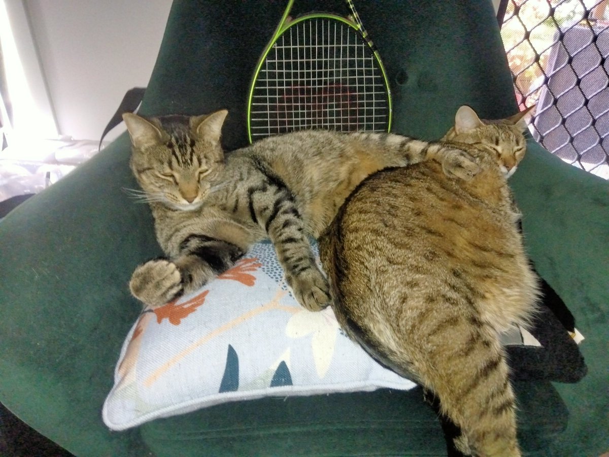 New way to get a leg over.