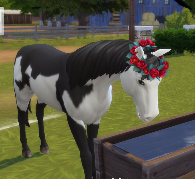 sendbaek's tweet photo. o primeiro cavalo no the sims a gnt nunca esquece ele com a sela rosa e fitinha roxa no rabo era minha vida https://t.co/pjFGUkHSyk