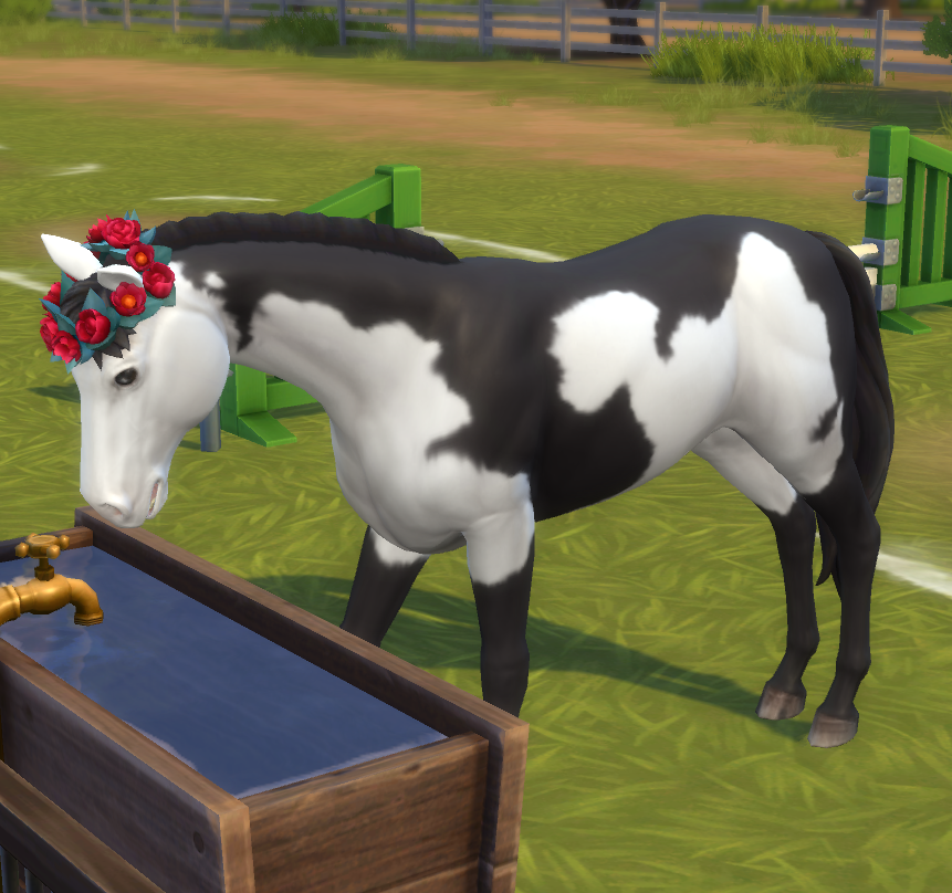 sendbaek's tweet photo. o primeiro cavalo no the sims a gnt nunca esquece ele com a sela rosa e fitinha roxa no rabo era minha vida https://t.co/pjFGUkHSyk