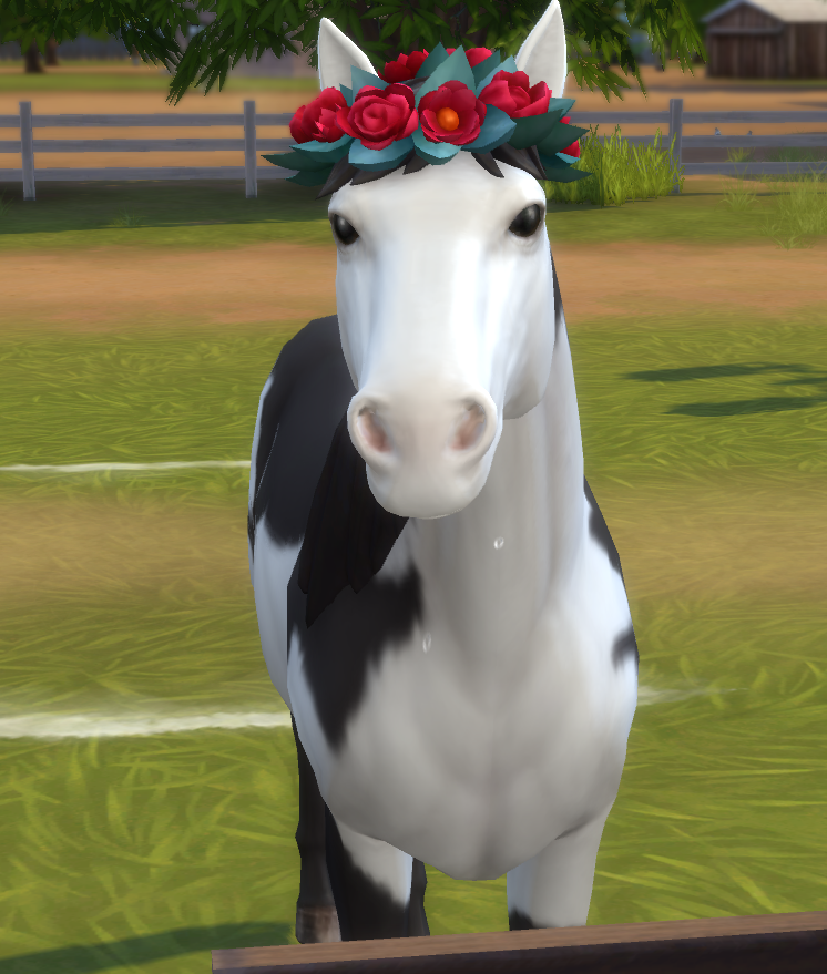 sendbaek's tweet photo. o primeiro cavalo no the sims a gnt nunca esquece ele com a sela rosa e fitinha roxa no rabo era minha vida https://t.co/pjFGUkHSyk