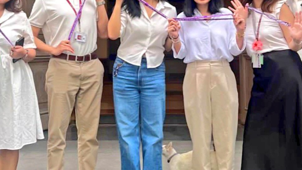 attyyugen's tweet image. 𖥔 ݁ ˖. ݁₊ ⊹ . ݁˖ . ݁:･ﾟ✧:･.☽˚
        O2/23/25
          ╰┈➤ 
Life lately 😮‍💨 ᯓᡣ𐭩

[ #studytwt #studyph #archivetwt ]