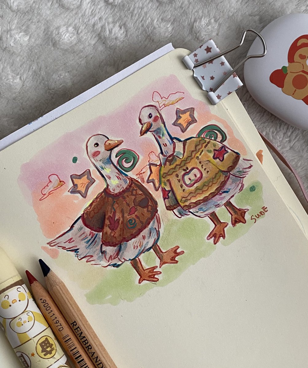 Orme kazakli ordekler 🦆
