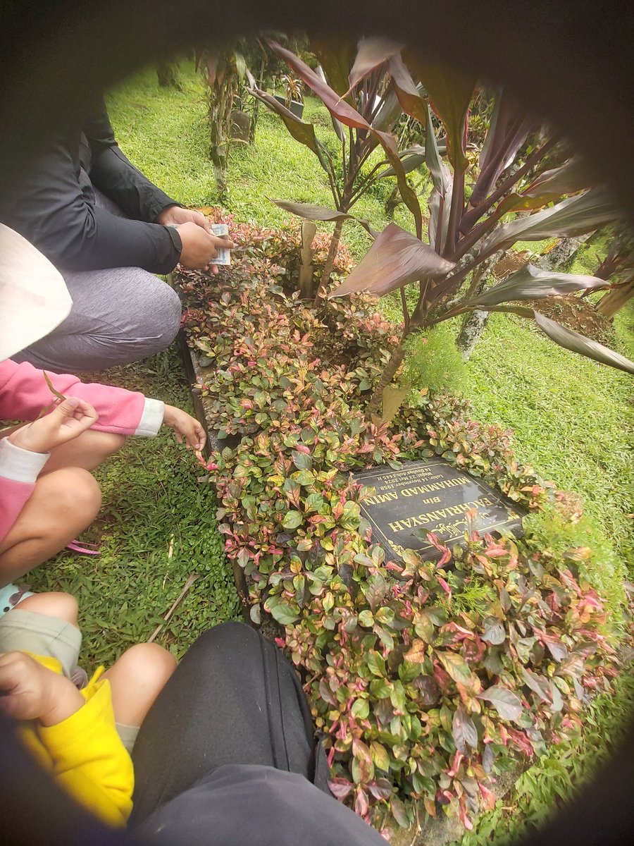 MasyaAllah, makam bapak full tanaman. Padahal anaknya ini ga pernah bawa tanaman 😢 alias sii tangan panas