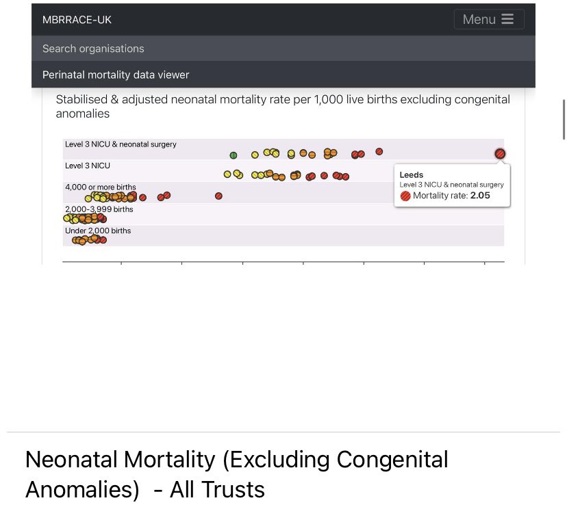 Fiona Winser-Ramm tweet media