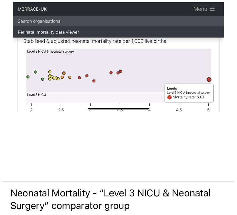 Fiona Winser-Ramm tweet media
