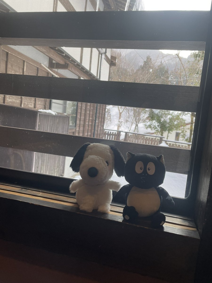 Po_Sang_Joon's tweet photo. 雪におおわれた山間の小さな秘湯の一軒宿でくつろぐぬいぐるみ🧸たち。 https://t.co/G6eKrZAeR0