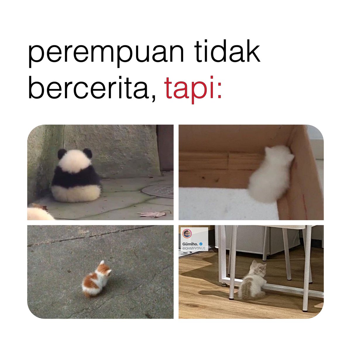 OHMYV3NUS's tweet image. 