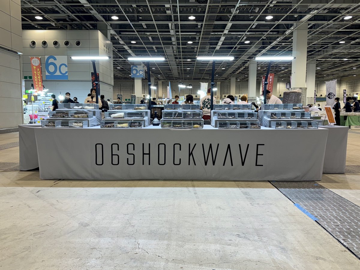 06shockwave's tweet photo. レプタイルズフィーバーに御来場戴きました皆様、ありがとう御座いました。

地元のイベントが大きくなっていて嬉しかったです！

3月の出店イベントは、

3/9 06in東京
3/16 沖縄爬虫類展示即売会
3/29.30 06in石川

です！

#ボールパイソン https://t.co/jY0JGbfJGK