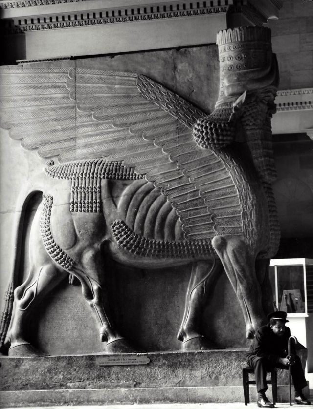twistopherrobin's tweet photo. #Photography #Monochrome #KeesScherer https://t.co/djy662ImDM
