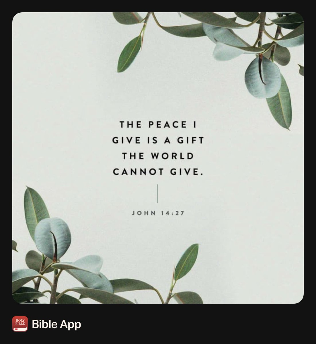 Cassandra Jackson tweet media