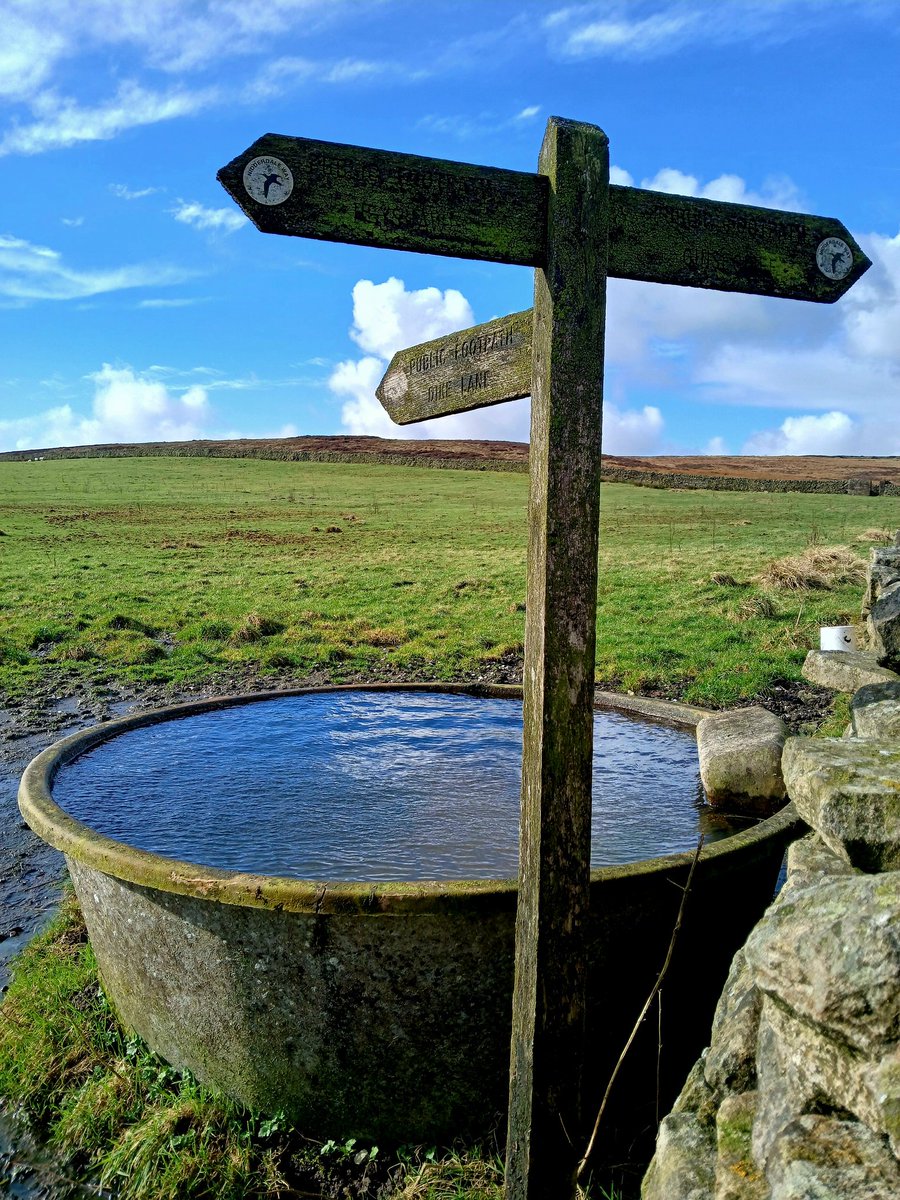 I think it's brilliant they've introduced hot tubs for weary travellers on the Nidderdale Way! It sure put a renewed spring in our step! Interesting news story <a href="/dannysavage/">Danny Savage</a> ?