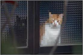 할머니네 가면 있잖아..