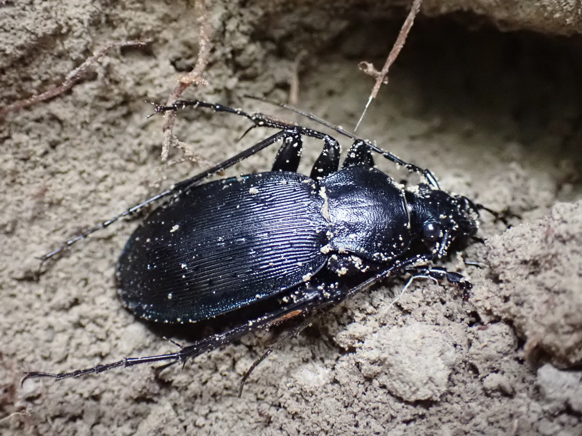 rockfish (@rockfis24599664) / Posts / X