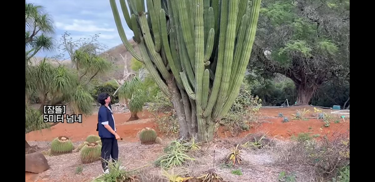 참고)황수현은 키가 180이 넘는다 #수현
