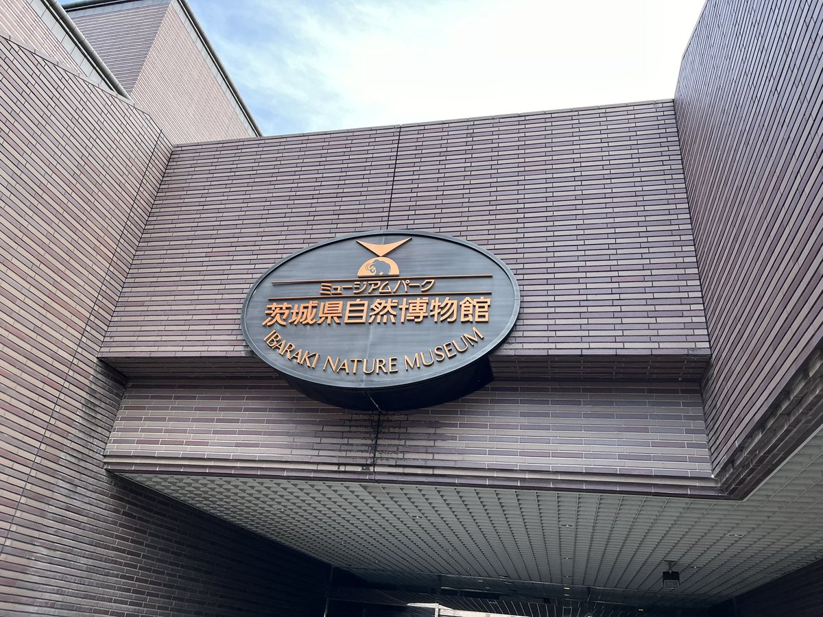 招待券をいただいたので子供連れて行ってきました。ゲキ混みに驚いた…。