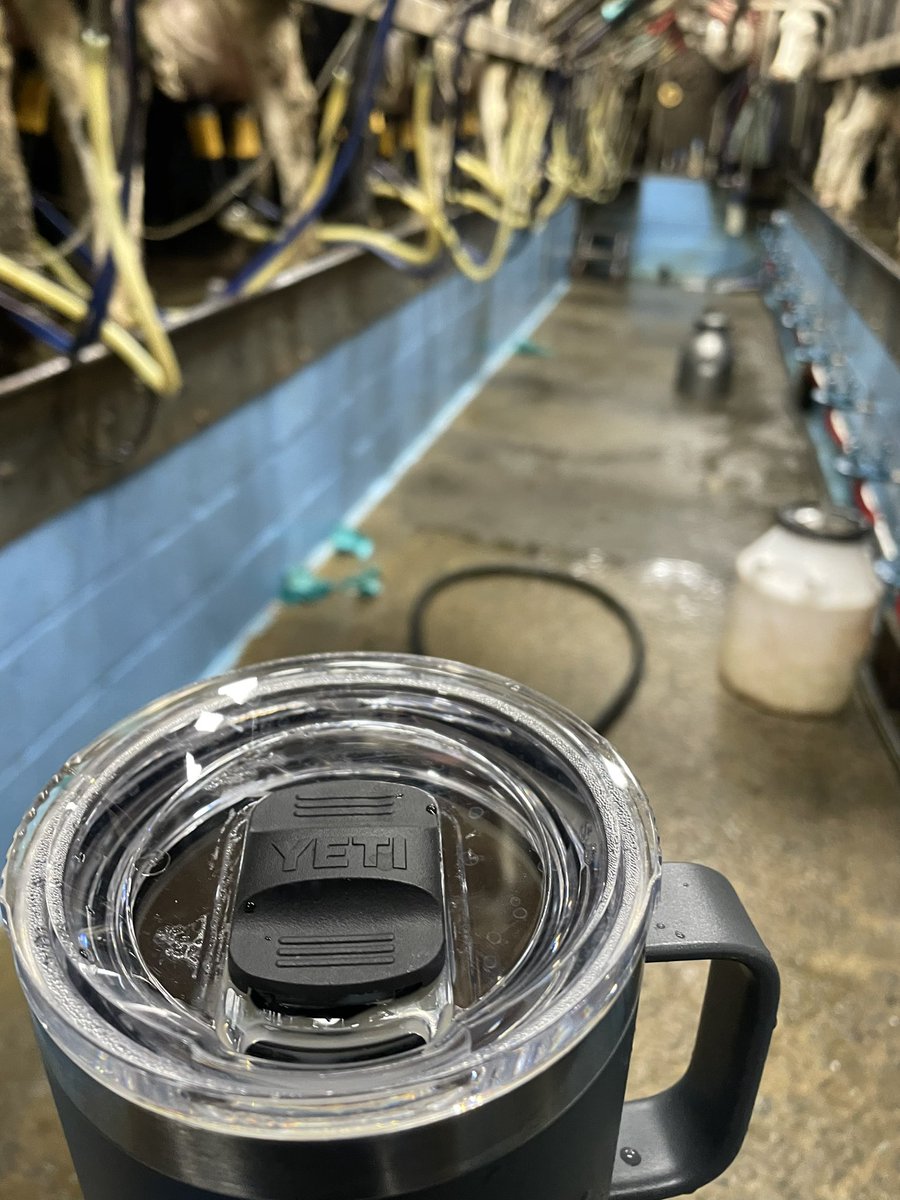 Blueface leicester lambs starting to really fill out now, and are holding their own in this shit weather. Shed re-filled with some calves post lambing. Welsh twins enjoying some beet and are looking well. And Finally found a coffee mug which stays warm all milking🙌😂