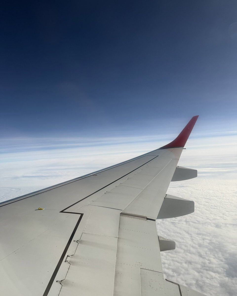 THOMAS EISENHUTH tweet media