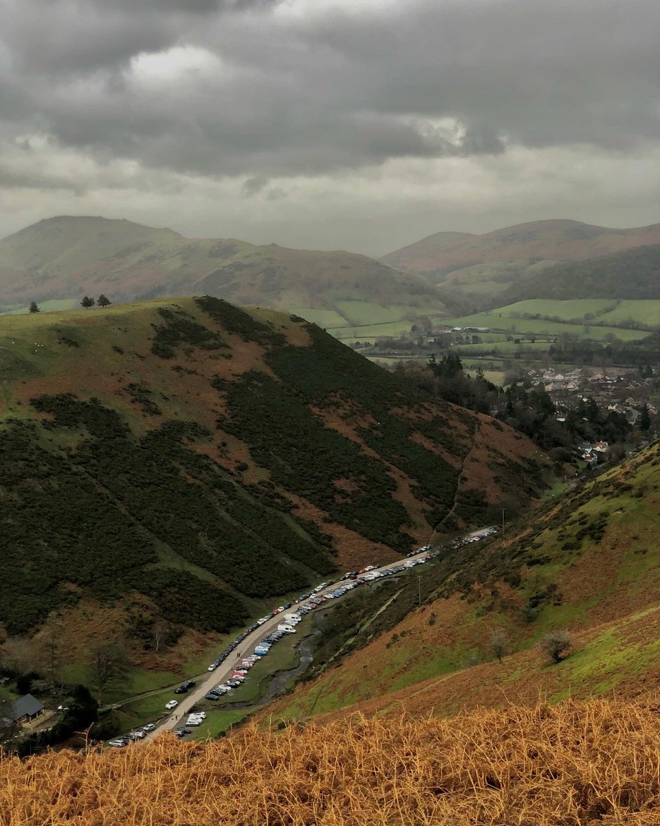 tranquility of solitude tweet media