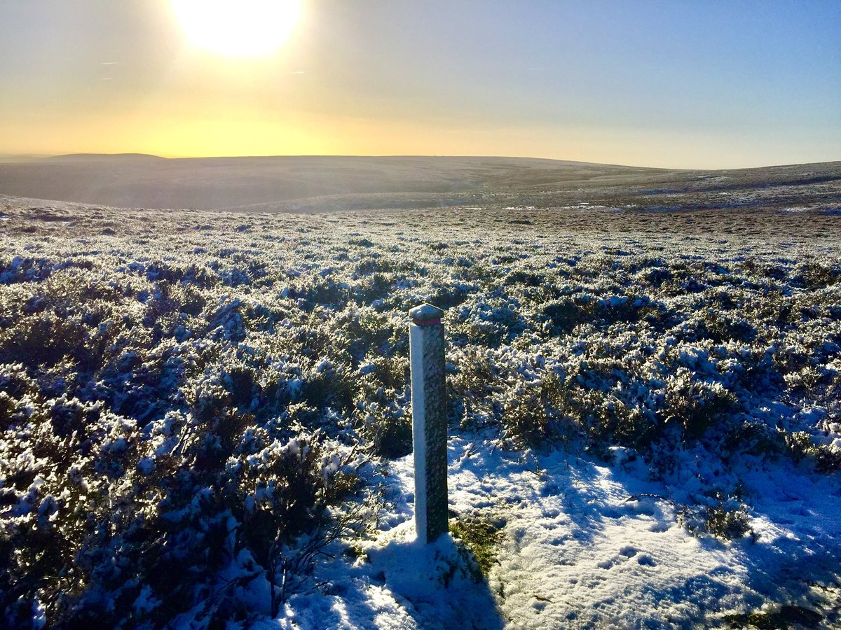 tranquility of solitude tweet media