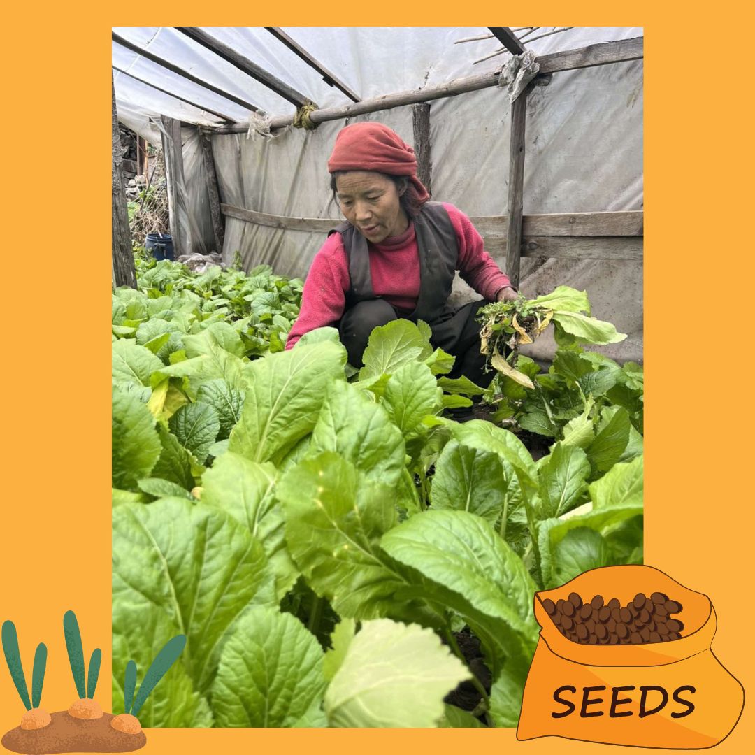 Our JTA Sarmila has been busy at Bihi this week. Sarmila supports these remote communities as they increase their self sufficiency by offering training and distributing seeds. Read more here bit.ly/3xDqCON