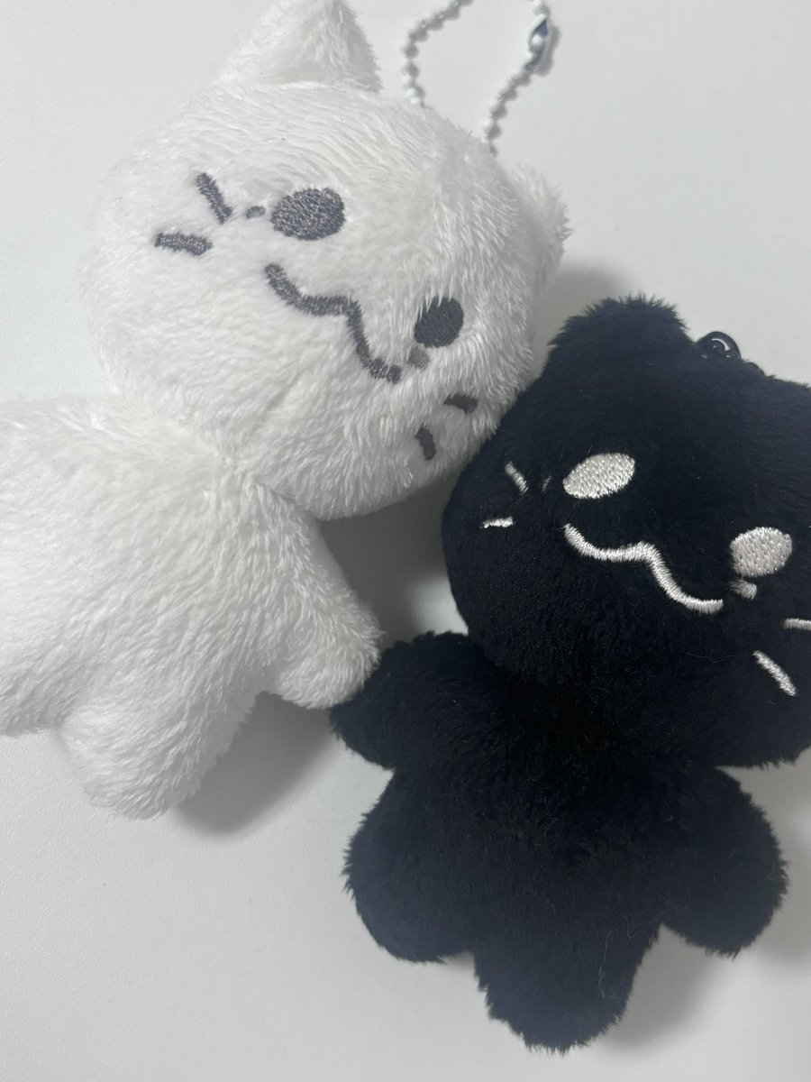 hhahaha_0's tweet photo. sf9 인성 인형 양도해요
깜품냥 품냥이 양도 합니다!
가격 제시해주세요🙂 https://t.co/UTCLc9lHjz