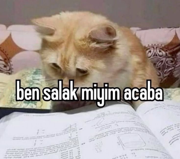 millet matematik sorularını konuşurken o soruları görmeye bile yetişemememiş olmanın verdiği mahcubiyet #ösym