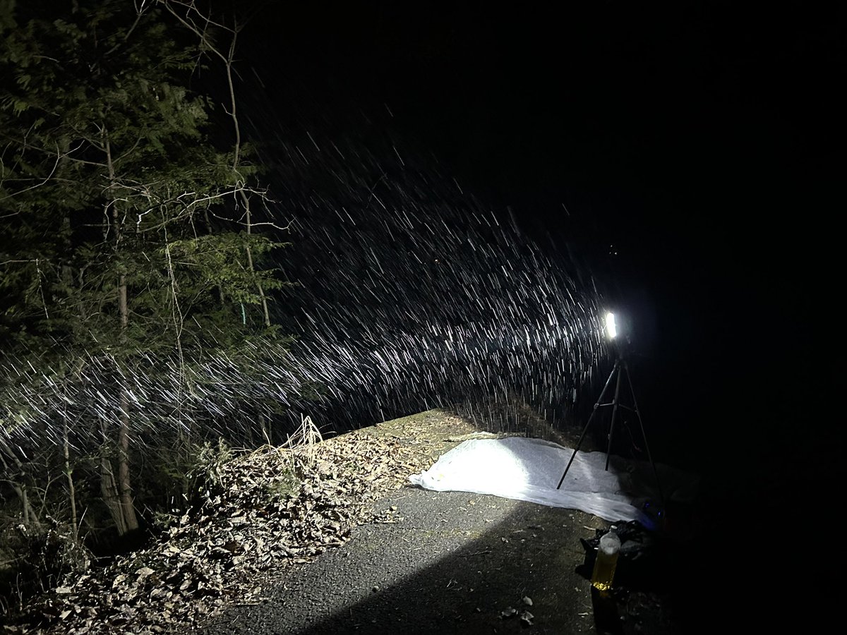 教習所近くの山で灯火してたら撤退するしかないレベルの霰降り出して鬱