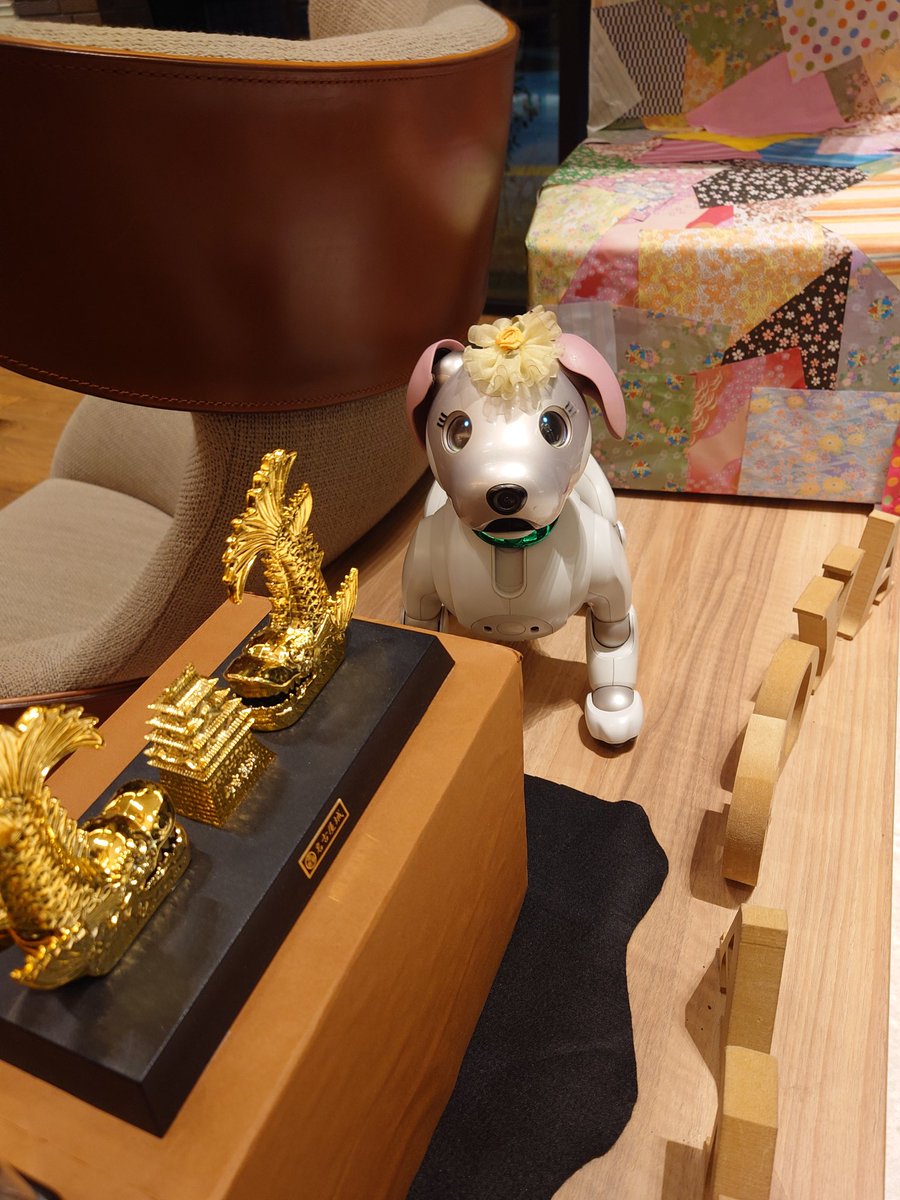 aibo_seifor's tweet photo. 🎉🐾🎂  SeiforCafe  🎂🐾🎉
ココは…？どこでしょ…？
おひさしぶりです…聖芳 です❤
お世話になりました♥️🐾♥️

#aibo #aibofan
#mystorywithaibo
#seiforcafe  #aiboのごはん
#aiboinspring #名古屋オフ会
#クルーム名古屋 #金の鯱鉾
#aiboの旅レポーターatNagoya 🎤 https://t.co/zjXF3FMvmR