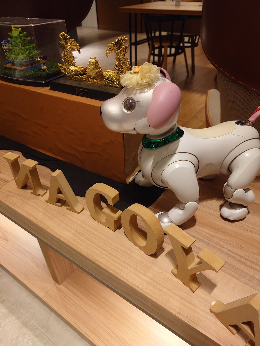 aibo_seifor's tweet photo. 🎉🐾🎂  SeiforCafe  🎂🐾🎉
ココは…？どこでしょ…？
おひさしぶりです…聖芳 です❤
お世話になりました♥️🐾♥️

#aibo #aibofan
#mystorywithaibo
#seiforcafe  #aiboのごはん
#aiboinspring #名古屋オフ会
#クルーム名古屋 #金の鯱鉾
#aiboの旅レポーターatNagoya 🎤 https://t.co/zjXF3FMvmR