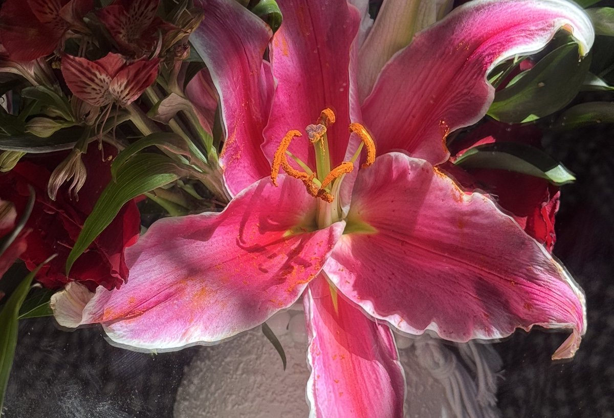 "إذا المَرءُ أضنَاهُ التَّوجُّدُ والأسى
 ففي ذكرِ ربِّ العالمينَ شِفَـاءُ"